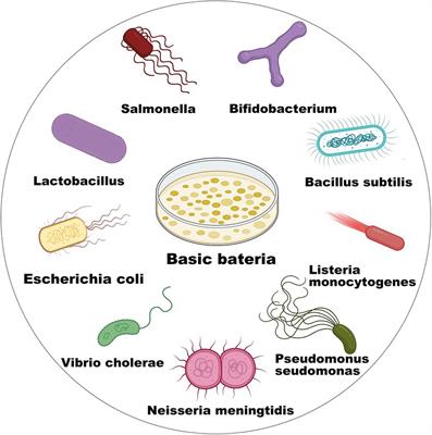 Frontiers Genetically Engineered Bacterium Principles Practices